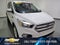 2019 Ford Escape SE FWD