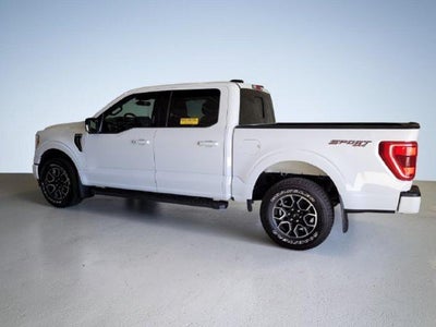 2023 Ford F-150 XLT 4WD