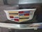 2019 Cadillac XT5 Luxury AWD