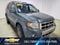 2010 Ford Escape Limited
