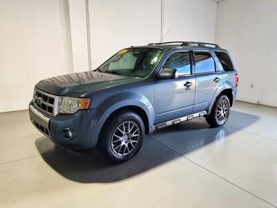2010 Ford Escape Limited