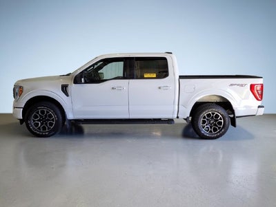 2023 Ford F-150 XLT SPORT PACKAGE 302A