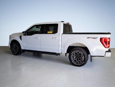 2023 Ford F-150 XLT SPORT PACKAGE 302A