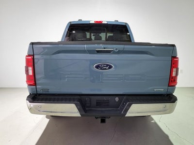 2023 Ford F-150 XLT 302A Package